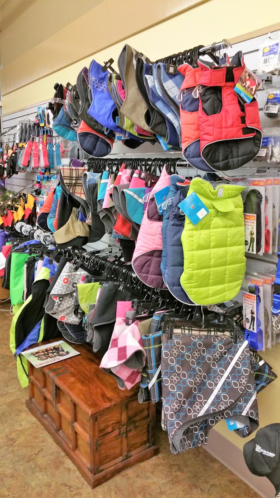 Bow Wow & Woofs | 8115 Birch Bay Square St, Blaine, WA 98230, USA | Phone: (360) 332-3647