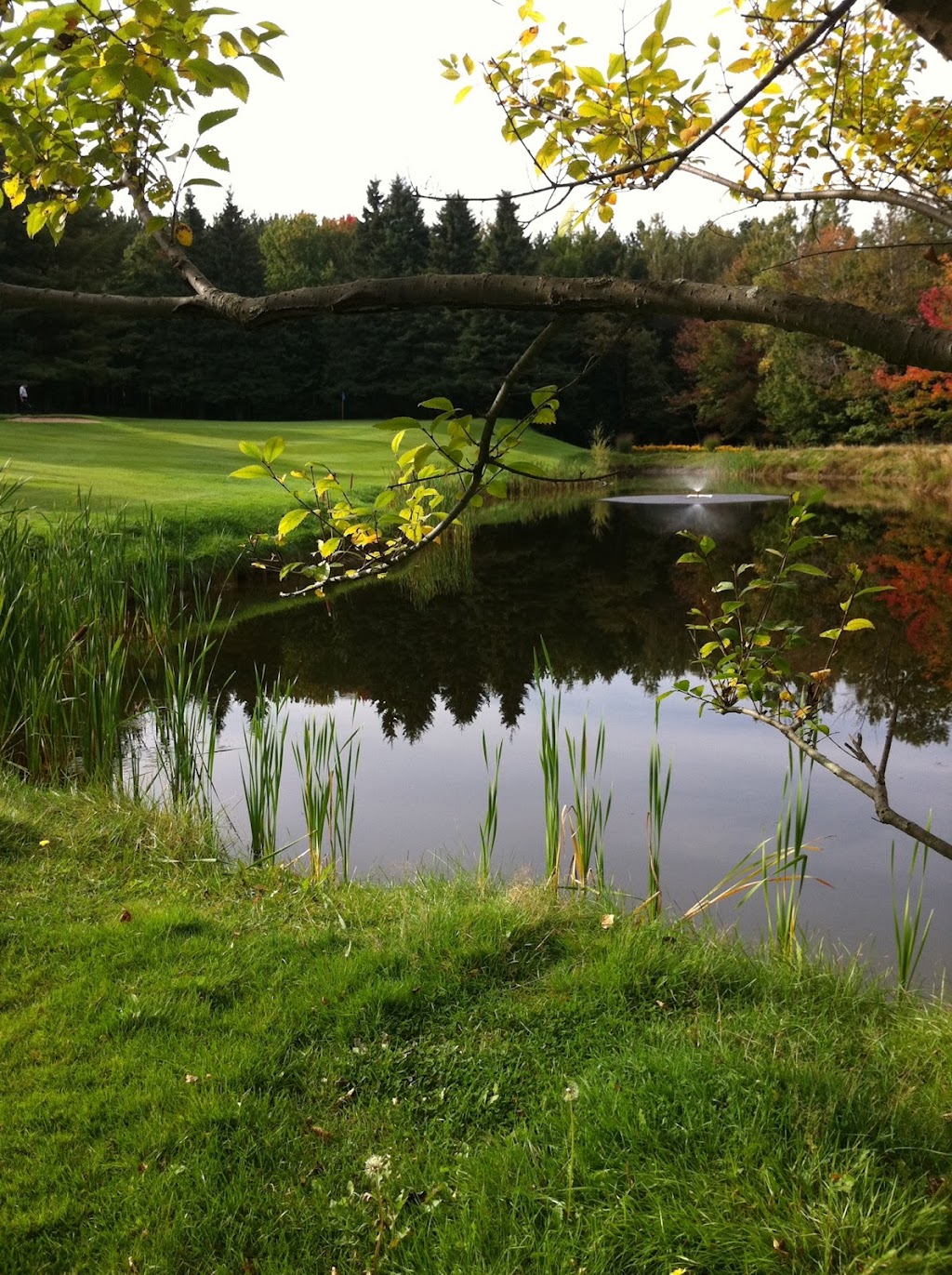 Club De Golf Royal Estrie | 375 Chem. du Golf, Val-des-Sources, QC J1T 3M7, Canada | Phone: (819) 879-5266