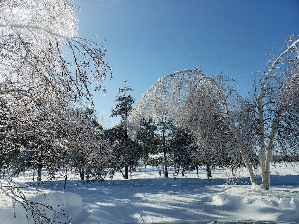 Centre équestre la Clé des Champs | 848 Chem. Terrebonne, Saint-Jean-Chrysostome, QC G6Z 2K9, Canada | Phone: (418) 575-0826