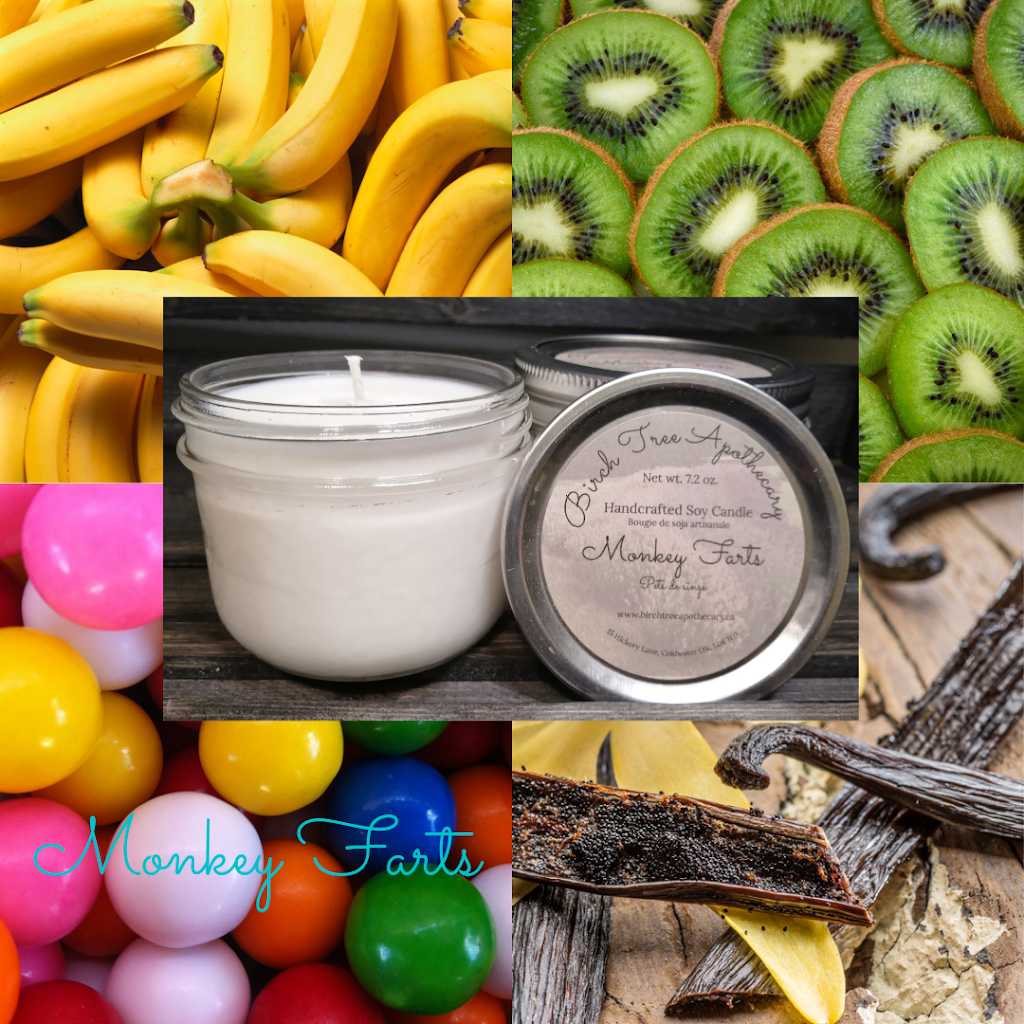 Birch Tree Apothecary & Wellness | 15 Hickory Ln, Coldwater, ON L0K 1E0, Canada | Phone: (705) 242-0101