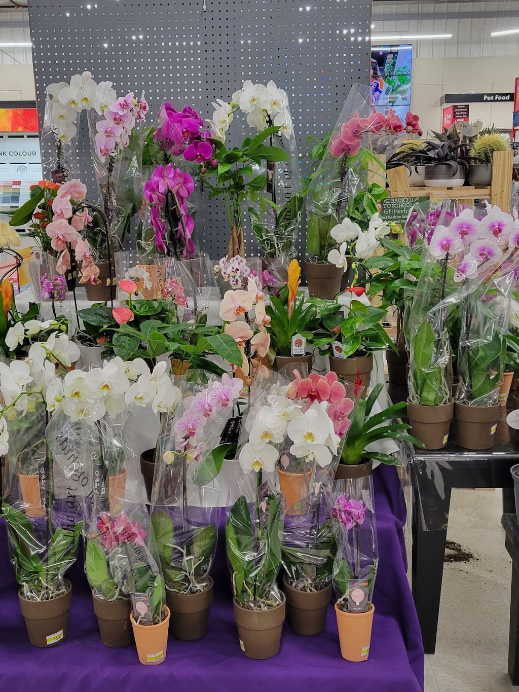 Invermere Home Hardware Building Centre | 9980 Arrow Rd, Invermere, BC V0A 1K0, Canada | Phone: (250) 342-6908
