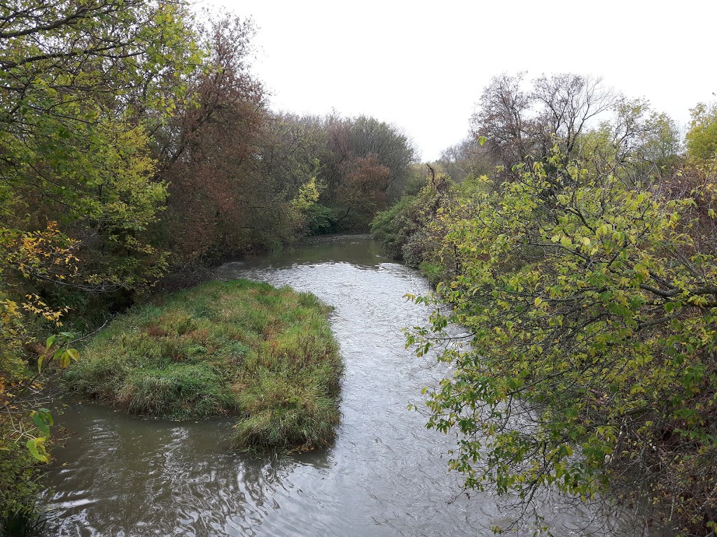 Richardson Park Newmarket, ON L3Y 3P8,