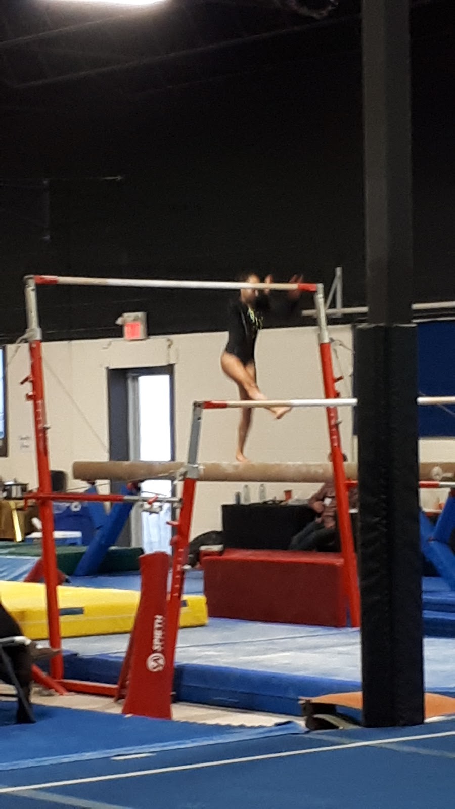 Blenheim-Kent Golden Eagles Gymnastic Club | 245 Marlborough St N, Blenheim, ON N0P 1A0, Canada | Phone: (519) 676-4449