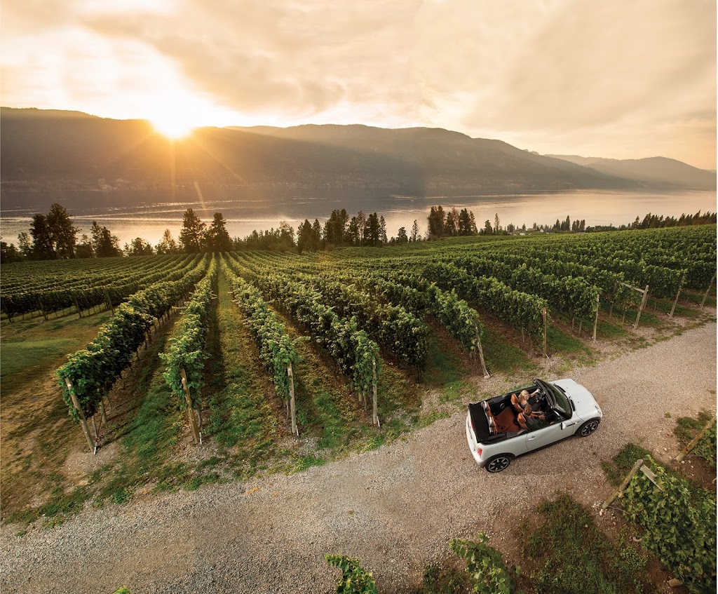 Tara Crittenden - Buy&Sell Okanagan | 1128 Sunset Dr #306, Kelowna, BC V1Y 9W7, Canada | Phone: (250) 878-5688