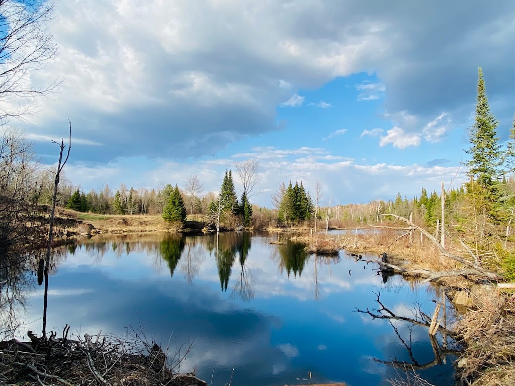 Daniel treehouse | 906 Brinklow Rd, Coe Hill, ON K0L 1P0, Canada | Phone: (416) 888-4137
