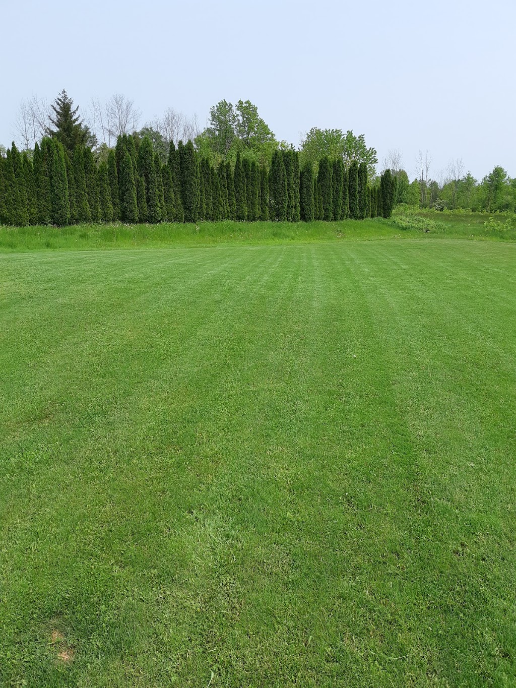 MAMA BEARS LAWN CARE | 4476 Willick Rd, Niagara Falls, ON L2G 0W4, Canada | Phone: (905) 351-2611