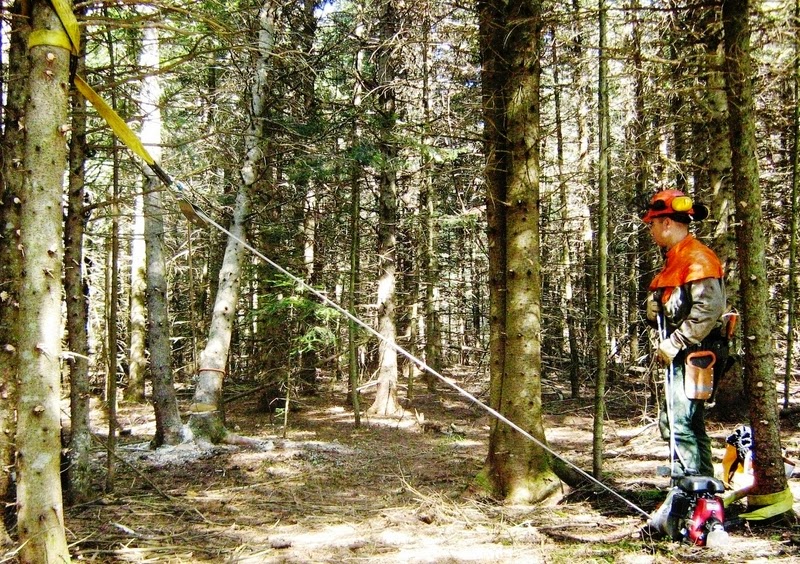 West Coast Winch | 6620 McMillan Way, Richmond, BC V6W 1J7, Canada | Phone: (888) 794-8357