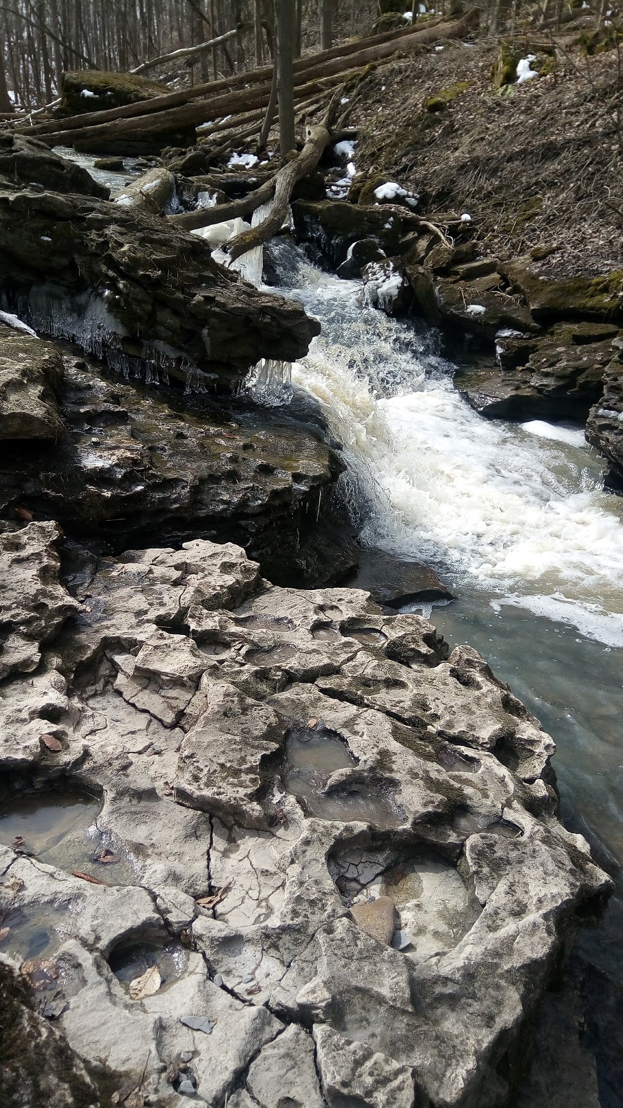 Louth Conservation Area | 3193 Staff Ave, Jordan Station, ON L0R 1S0, Canada | Phone: (905) 788-3135
