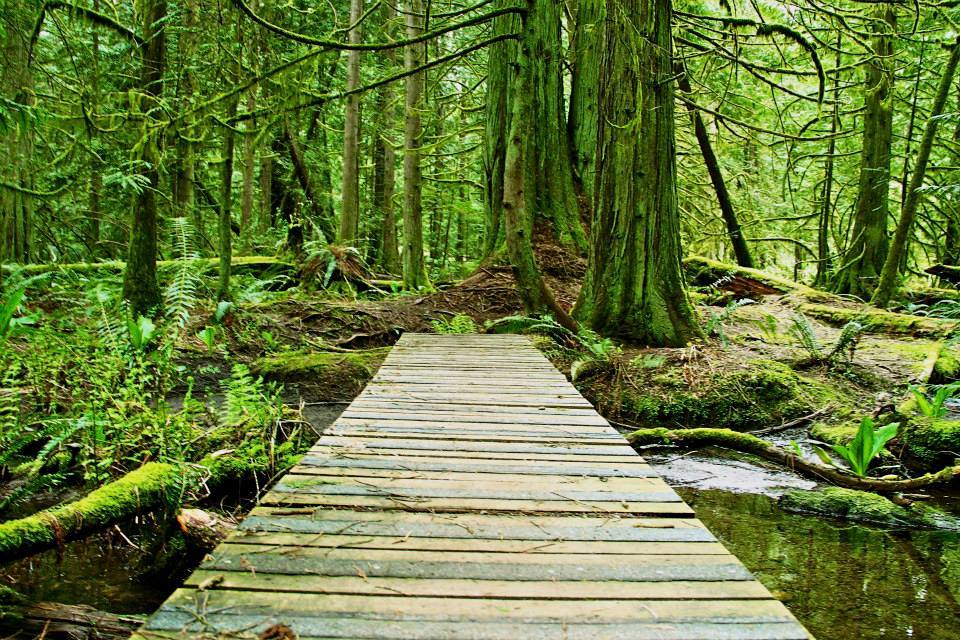 Gabriola Island Chamber of Commerce - Visitor Info Centre | 480 N Rd #6, Gabriola, BC V0R 1X0, Canada | Phone: (250) 247-9332