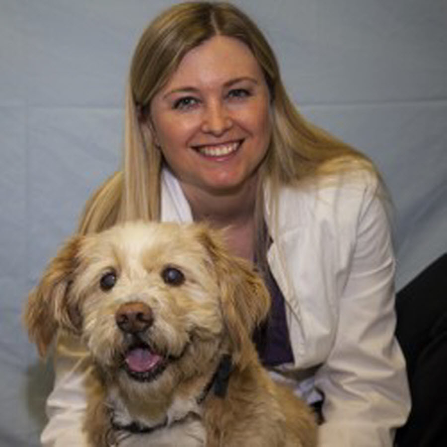 Rossland Animal Hospital | 575 Thornton Rd N, Oshawa, ON L1J 8L5, Canada | Phone: (905) 240-1119