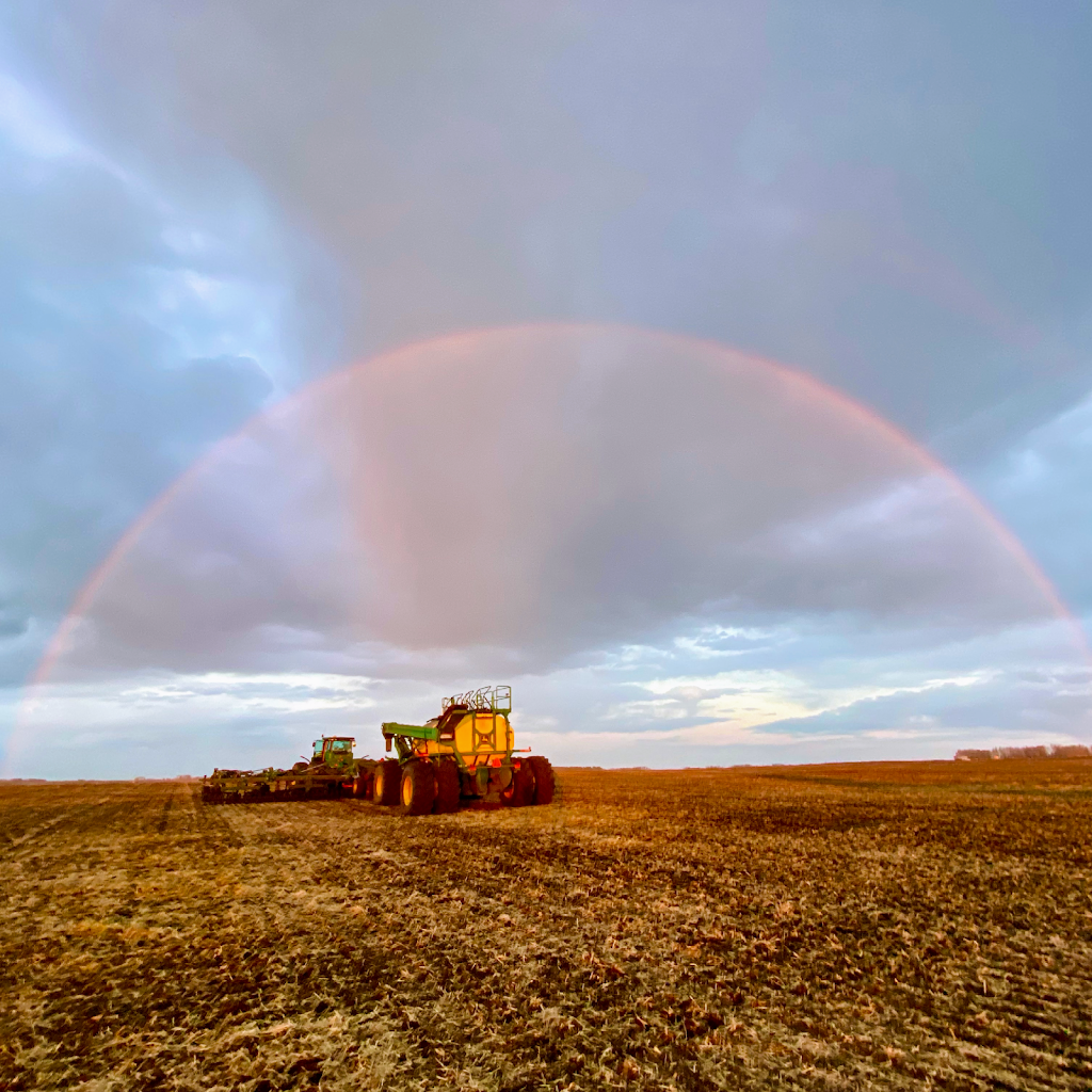 Triple H Farms Ltd | R R 2. Site 1 Box 3, Carstairs, AB T0M 0N0, Canada | Phone: (403) 874-9434