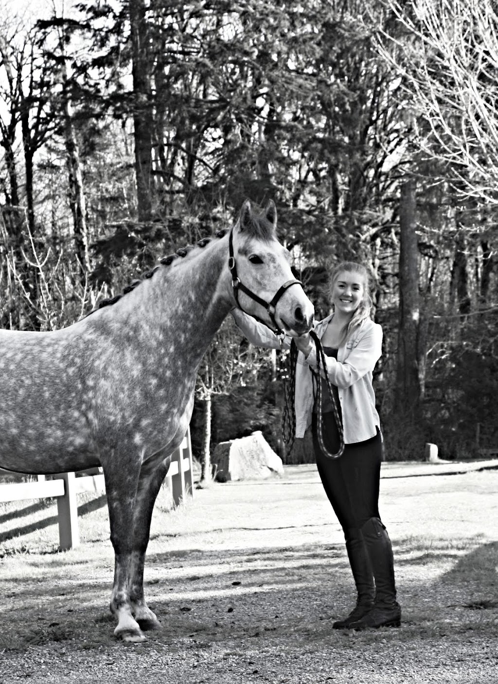 Candor Equestrian | 41449 Government Rd #12, Squamish, BC V8B 0G4, Canada | Phone: (604) 848-5911