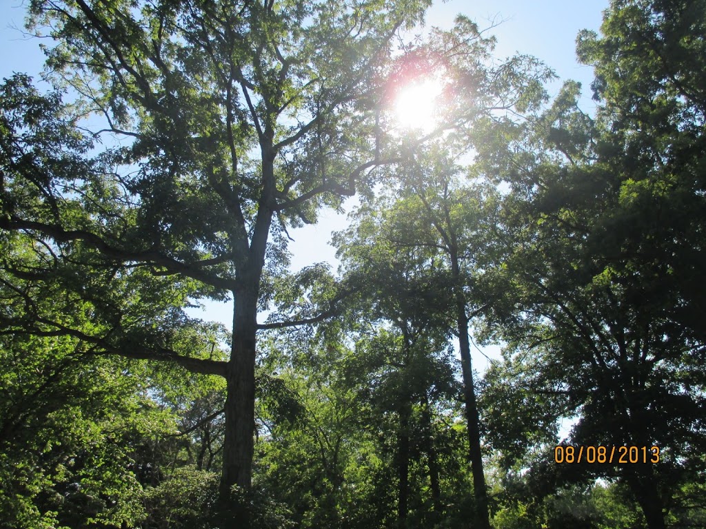Gesstwood Camp and Education Centre | 1034 Mole Side Rd, Essex, ON N8M 2Y1, Canada | Phone: (519) 776-7119