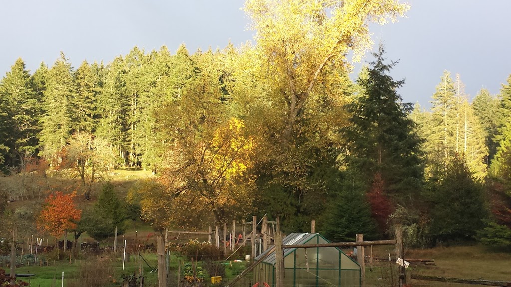 Ambledale Farms | 1211 Beaver Point Rd, Salt Spring Island, BC V8K 1X2, Canada | Phone: (250) 653-4221