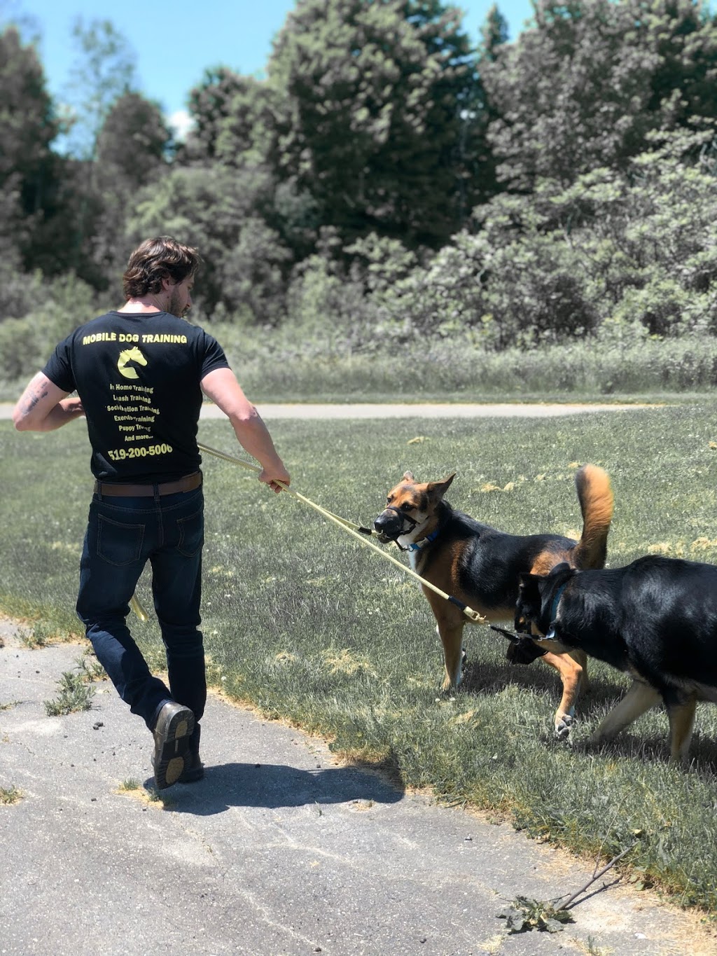 High Energy Animal Training (H.E.A.T.) | 7223 Longwoods Rd, London, ON N6P 1L2, Canada | Phone: (519) 200-5006