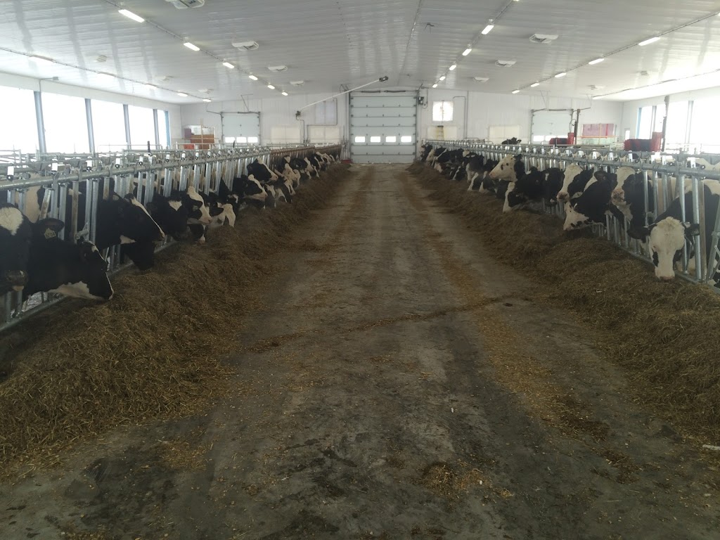 Fermes J.N. Beauchemin et Fils inc. | 2139 Rang St Pierre, Saint-Ours, QC J0G 1P0, Canada | Phone: (450) 785-5537