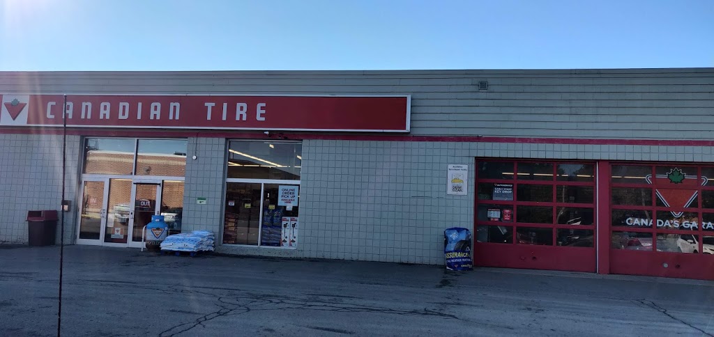 Canadian Tire | 308 James St, Delhi, ON N4B 2B4, Canada | Phone: (519) 582-2450