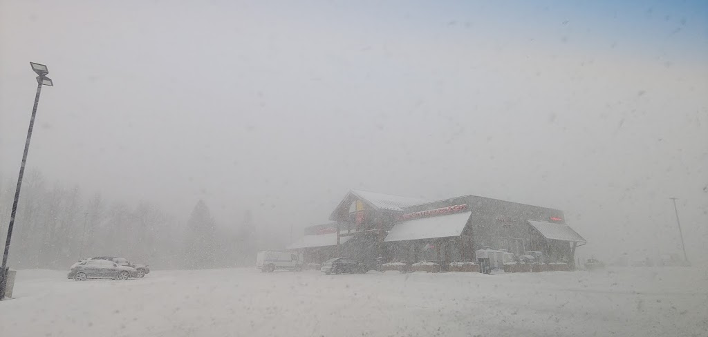 Minisi Convenience & Gift | 21800 Island Rd, Port Perry, ON L9L 1B6, Canada | Phone: (289) 653-1530