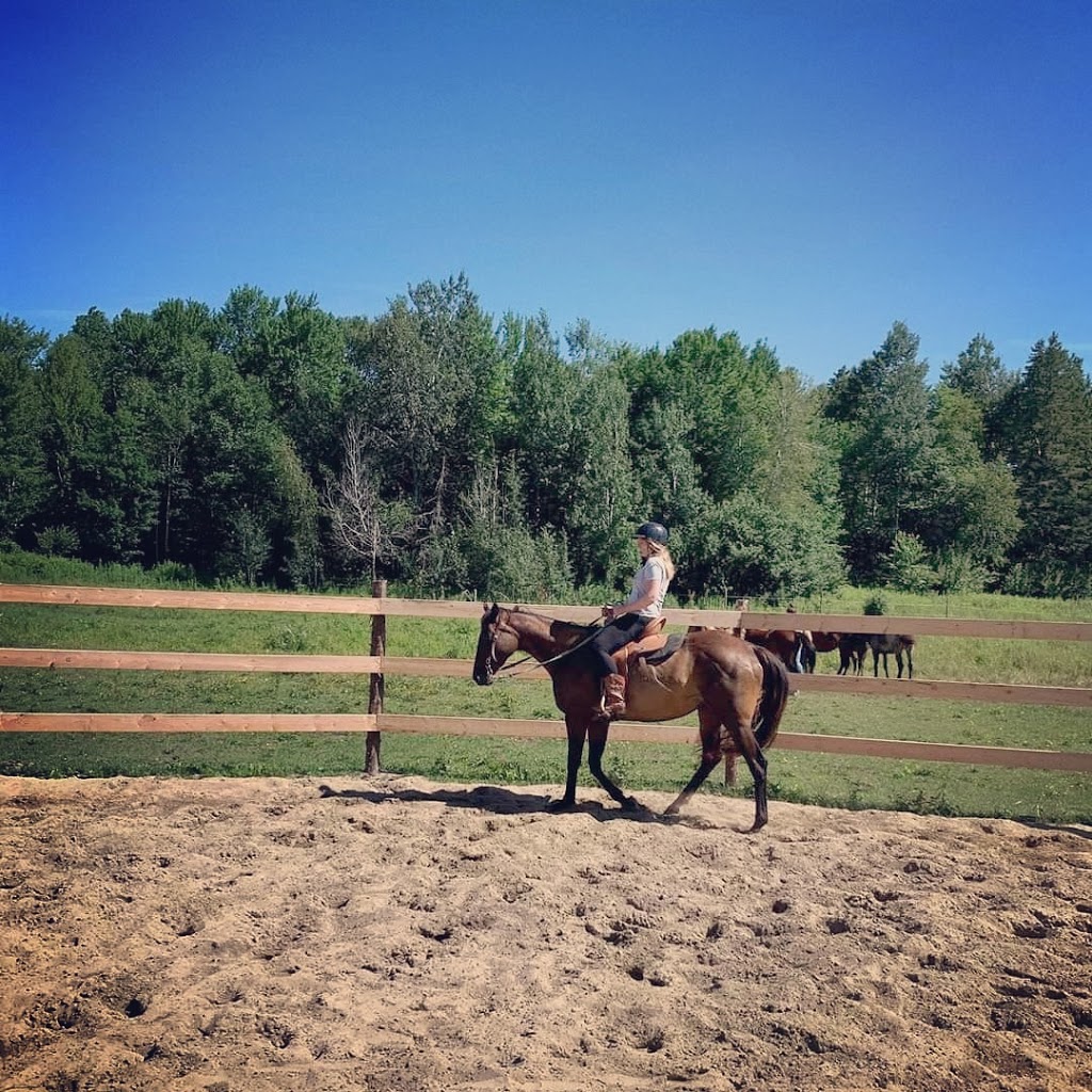 Écurie Delaberge | 2661 2e Rang, Sainte-Justine-de-Newton, QC J0P 1T0, Canada | Phone: (450) 459-4531