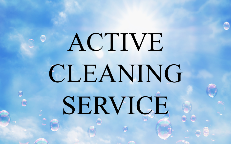 Active Cleaning Service | 8412 188 St NW, Edmonton, AB T5T 4Y9, Canada | Phone: (780) 966-6140