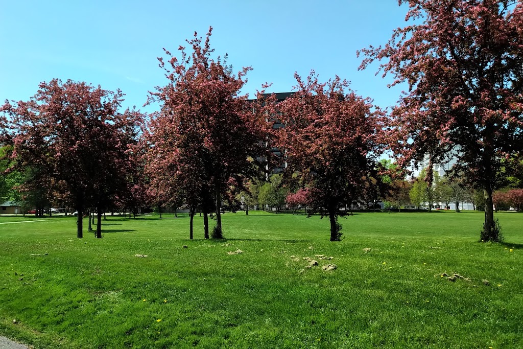 Ross Park | 1250 Richmond St, London, ON N6A 3L5, Canada | Phone: (519) 661-5575
