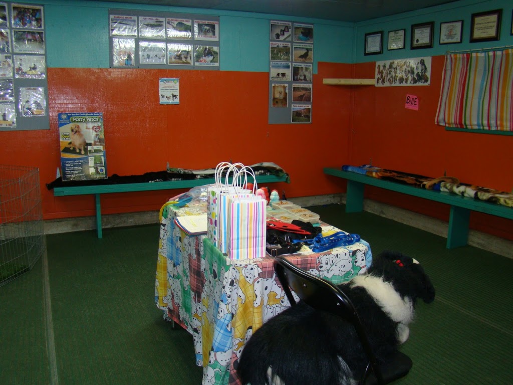 Gentle Puppy Training | 436 Bradner Rd, Abbotsford, BC V4X 2J5, Canada | Phone: (604) 607-6564