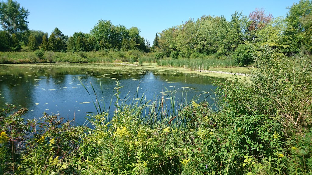 Duffin Creek W.P.C.P. Wildlife Pond | Pickering, ON L1W 3A3, Canada