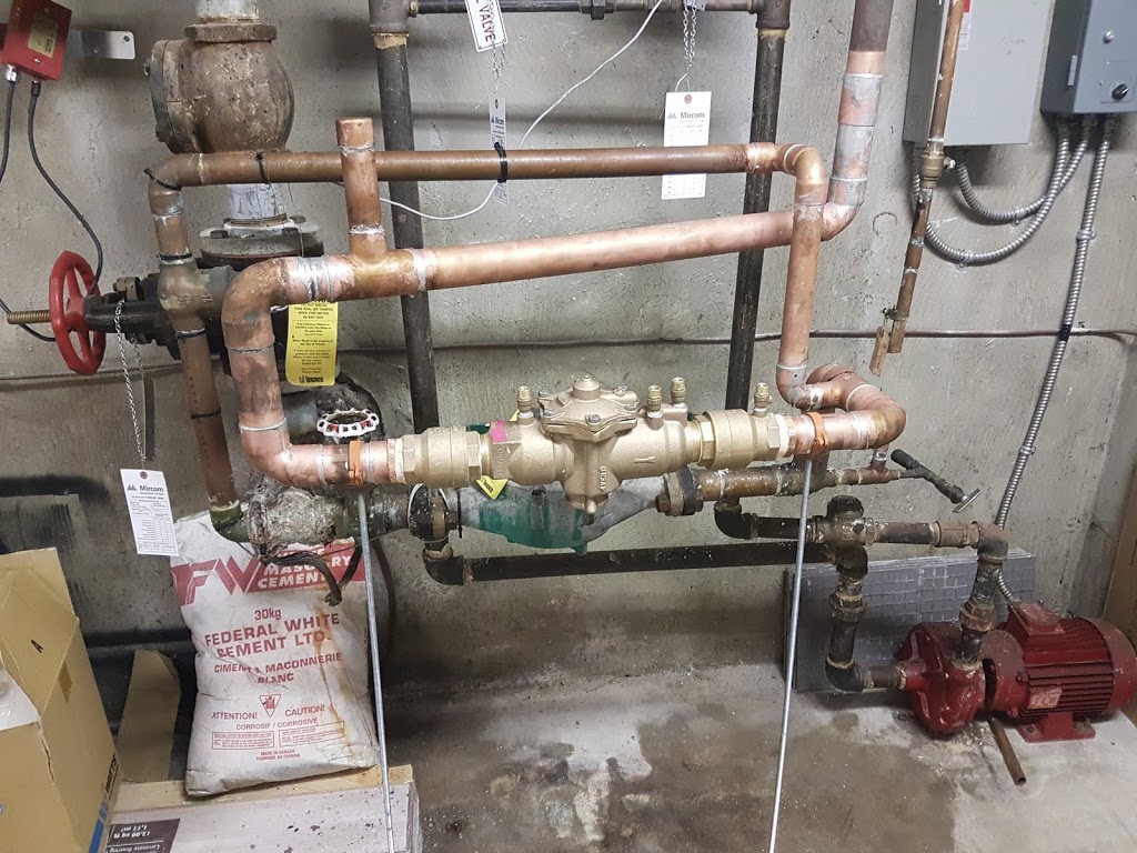 AMIGO PLUMBING | 68 Bunnell Crescent, North York, ON M3M 2C1, Canada | Phone: (416) 890-3367