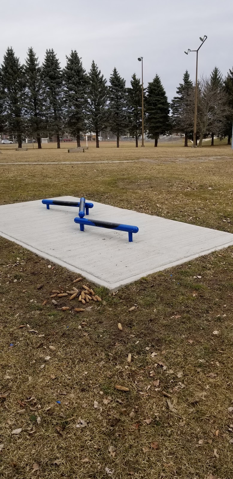 Kolin Smith Memorial Skatepark | 40-56 Hardy Ave, Tillsonburg, ON N4G 3X1, Canada | Phone: (519) 688-9011