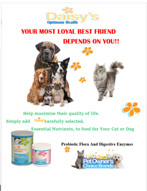 Pet Owners Choice Brands | 2698 Dundas St W, Toronto, ON M6P 1Y2, Canada | Phone: (416) 536-4694
