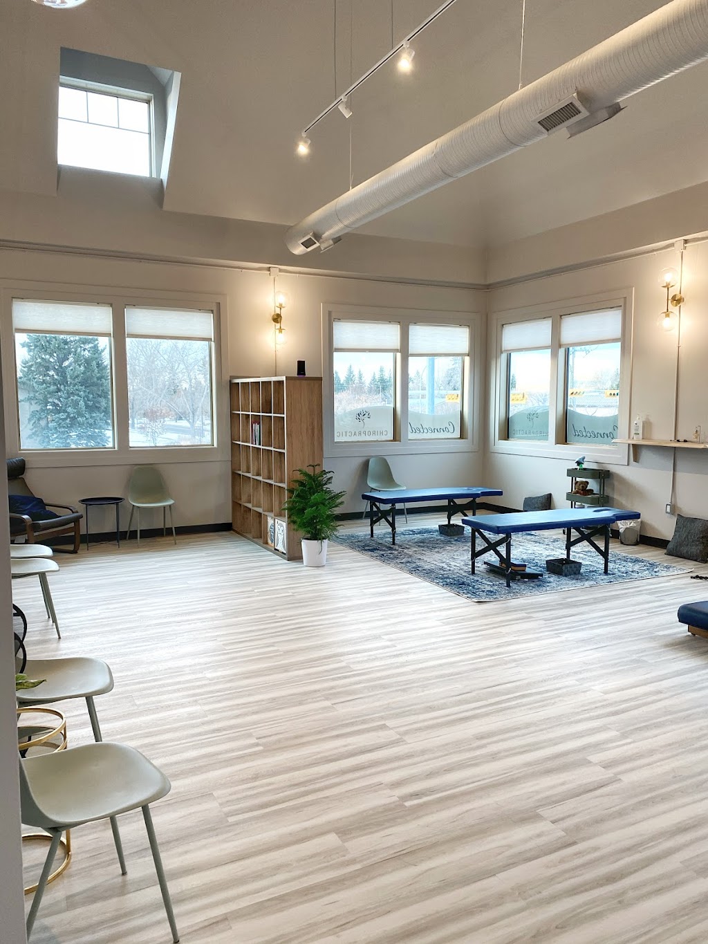 Connected Chiropractic | 580 Acadia Dr SE Unit 208, Calgary, AB T2J 6A7, Canada | Phone: (587) 507-4628