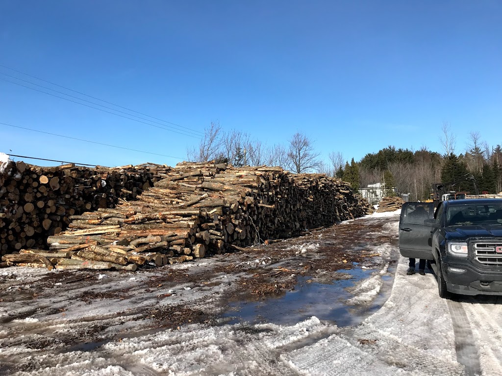 Flammebec Bois de chauffage | 591 Chemin Bourret, Saint-Apollinaire, QC G0S 2E0, Canada | Phone: (418) 930-8530