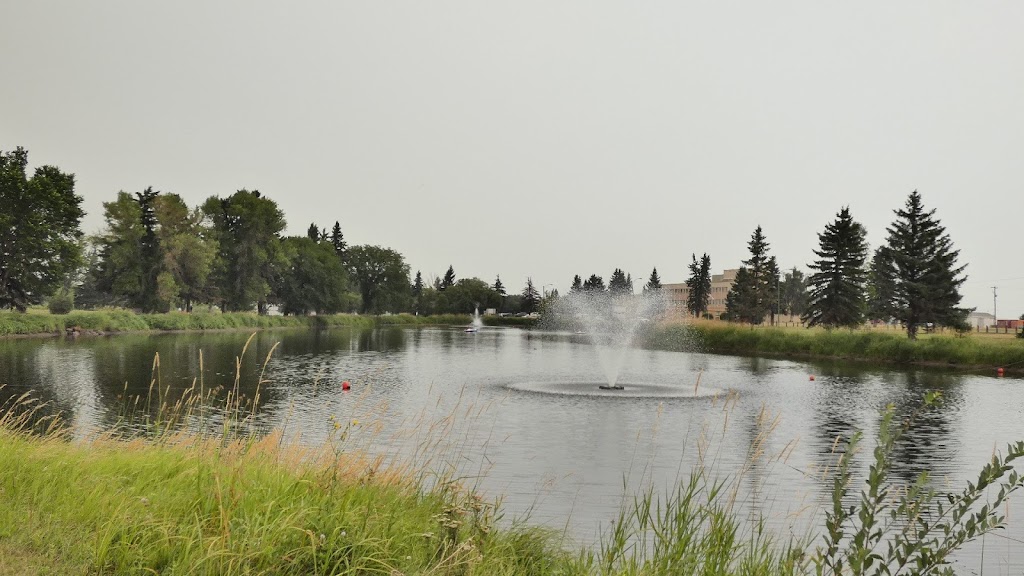 Banff Airfield CYBA | AB-1, Improvement District No. 9, AB T0L, Canada | Phone: (403) 762-4506