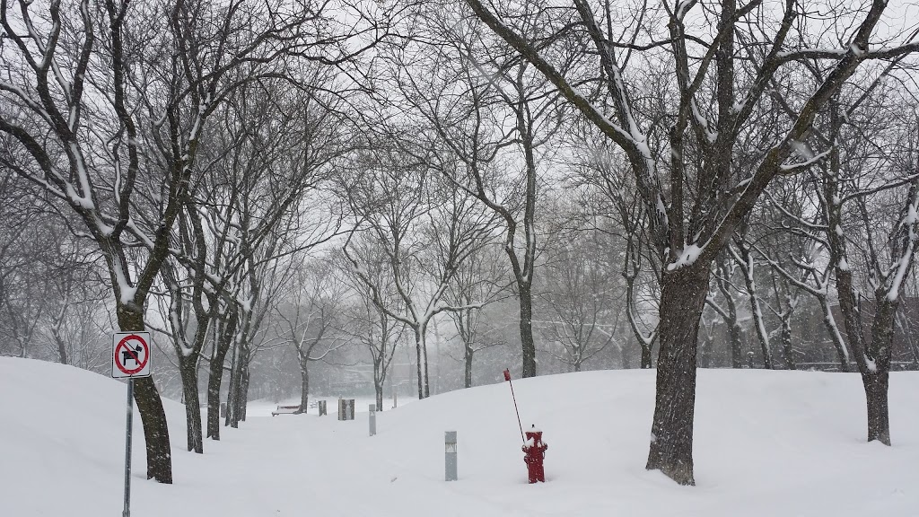 Parc Rembrandt | Avenue Rembrandt, Côte Saint-Luc, QC H4W, Canada | Phone: (514) 872-0311