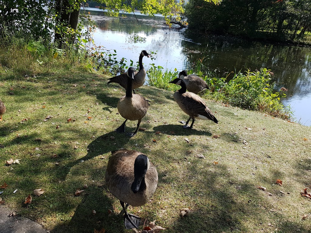 Parc Lucien-Blanchard | Mont-Bellevue, Sherbrooke, QC J1K 0A6, Canada | Phone: (819) 821-5893