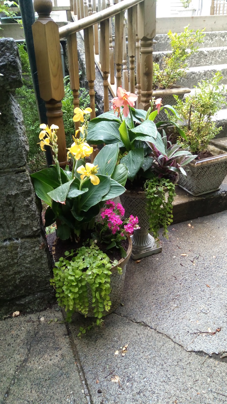 Balfour Inn | 1064 Balfour Ave, Vancouver, BC V6H 1X1, Canada | Phone: (604) 730-9927
