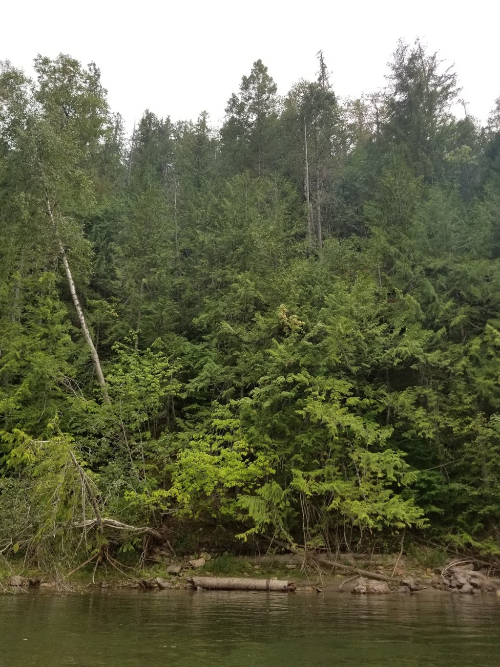 Eby Hand Launch | 545 Enderby Mabel Lake Rd, Enderby, BC V0E 1V4, Canada