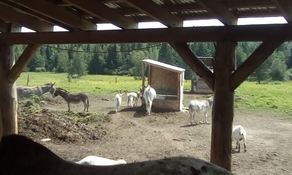 Ferme Dada Do | 60 Chemin Boisvert, Danville, QC J0A 1A0, Canada | Phone: (514) 972-1878
