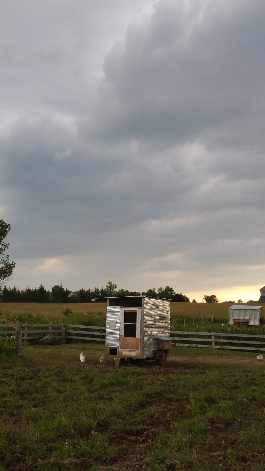 Farm Queen Foods | 316743, ON-6, Chatsworth, ON N0H 1G0, Canada | Phone: (519) 794-0471