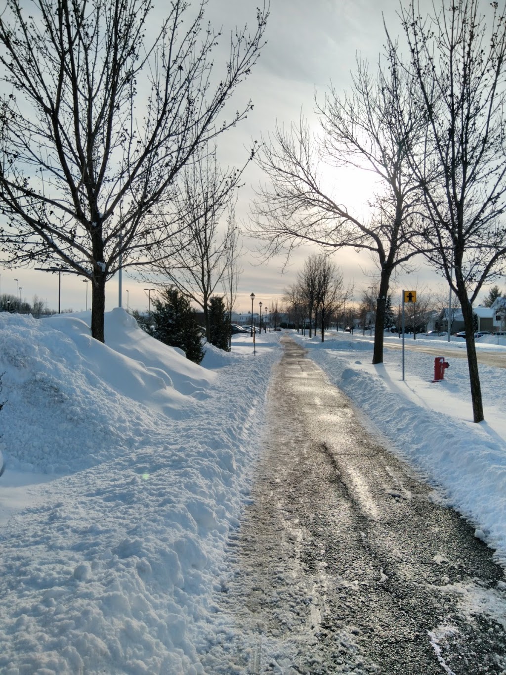 Parc Émilie-Gamelin | 175 Boulevard des Mésanges, La Prairie, QC J5R 5W1, Canada