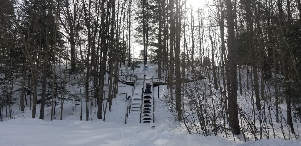 Silver Trails Scout Reservation | 7140 Jeddo Rd, Jeddo, MI 48032, USA | Phone: (810) 327-6685