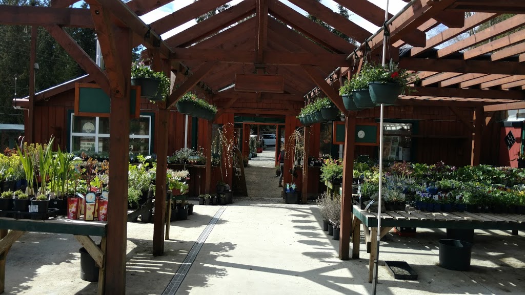 Sunshine Coast Nursery | 1826 Sunshine Coast Hwy, Roberts Creek, BC V0N 2W5, Canada | Phone: (604) 886-2796