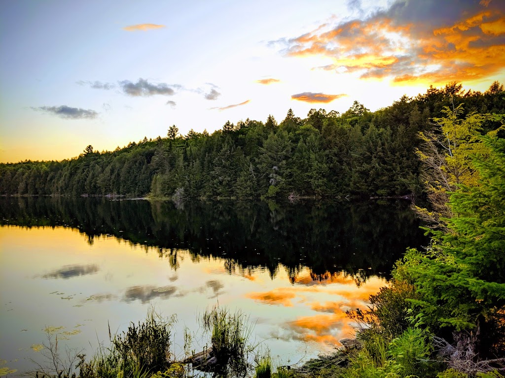 Papineau-Labelle Wildlife Reserve | Notre-Dame-du-Laus, QC, Canada | Phone: (800) 665-6527