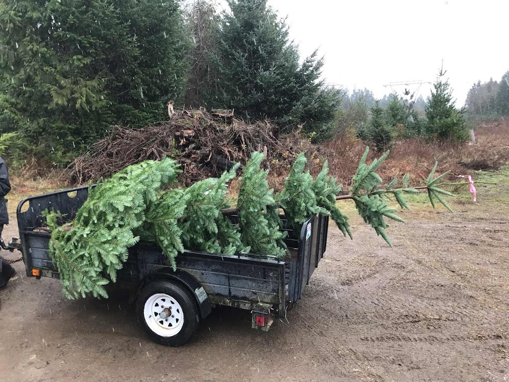 Whiskey Creek Christmas Tree Farm | Melrose Rd, Qualicum Beach, BC V9K 2M9, Canada | Phone: (250) 661-9528