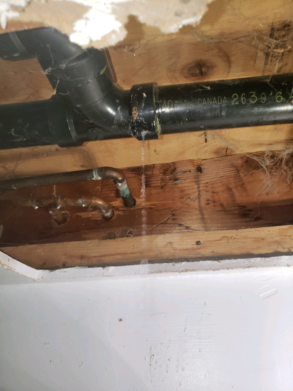 plumbing heroes | 4437 Concession Rd 4, Newtonville, ON L0A 1J0, Canada | Phone: (416) 893-5717