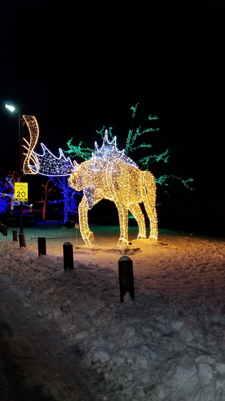 MarineLand | 7657 Portage Rd, Niagara Falls, ON L2E 6X8, Canada | Phone: (905) 356-9565