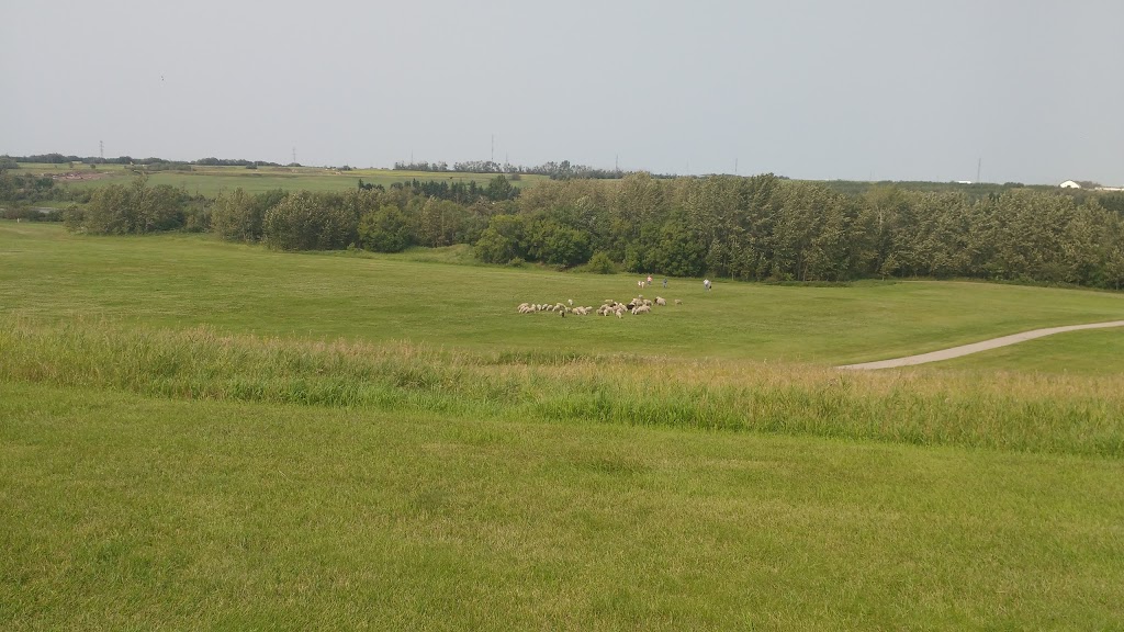Peter Ream Park | Fort Saskatchewan, AB T8L 4L2, Canada