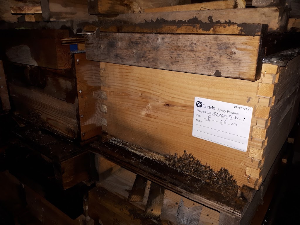 4thlinehoney | 96070 4 Line SW, Melancthon, ON L9V 2B9, Canada | Phone: (647) 216-7084