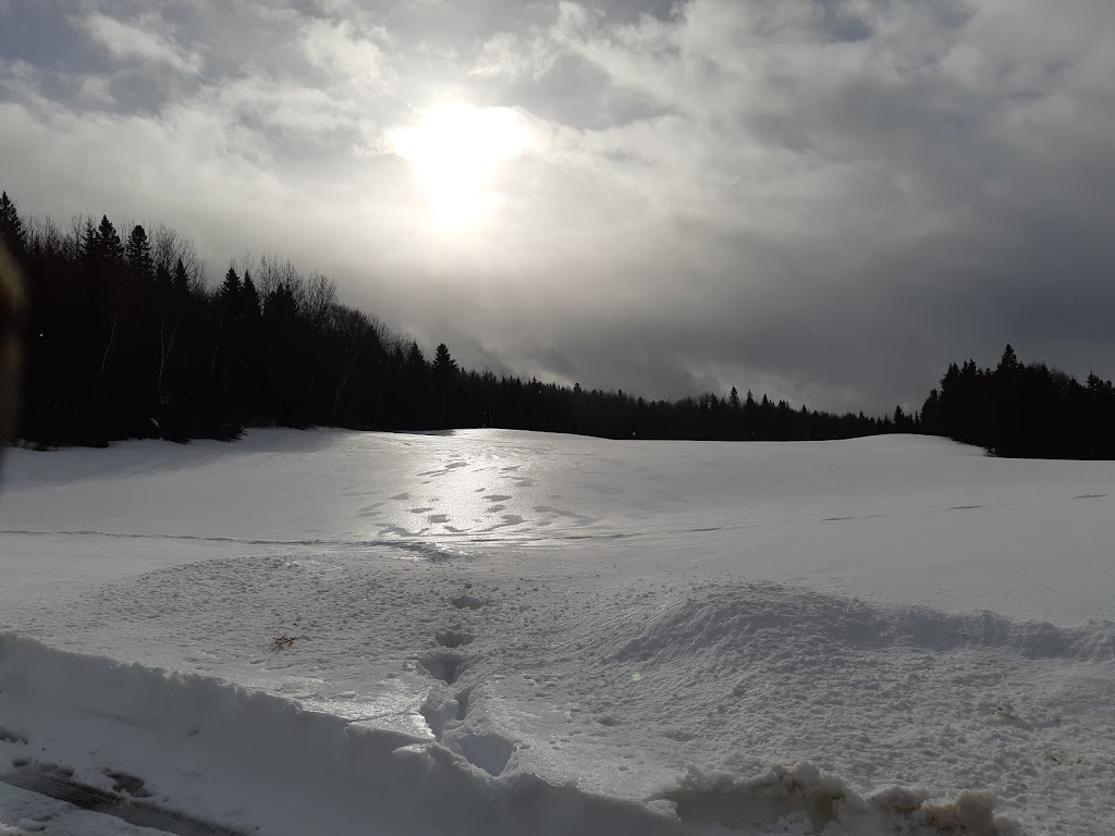 Ferme De Stéphane Et Nicole | 241 Rang Sud-Est, La Bostonnais, QC G9X 0A7, Canada | Phone: (819) 523-9593
