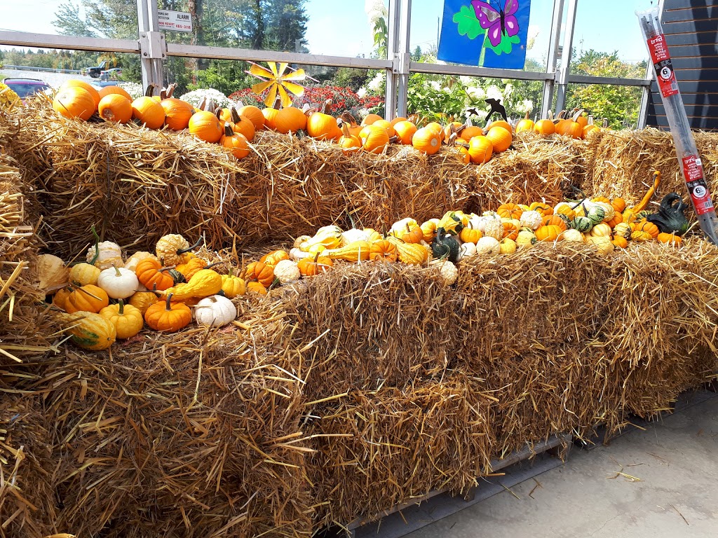 Bloom Greenhouse & Garden Centre | 1421 Hammonds Plains Rd, Hammonds Plains, NS B4B 1P6, Canada | Phone: (902) 832-9268
